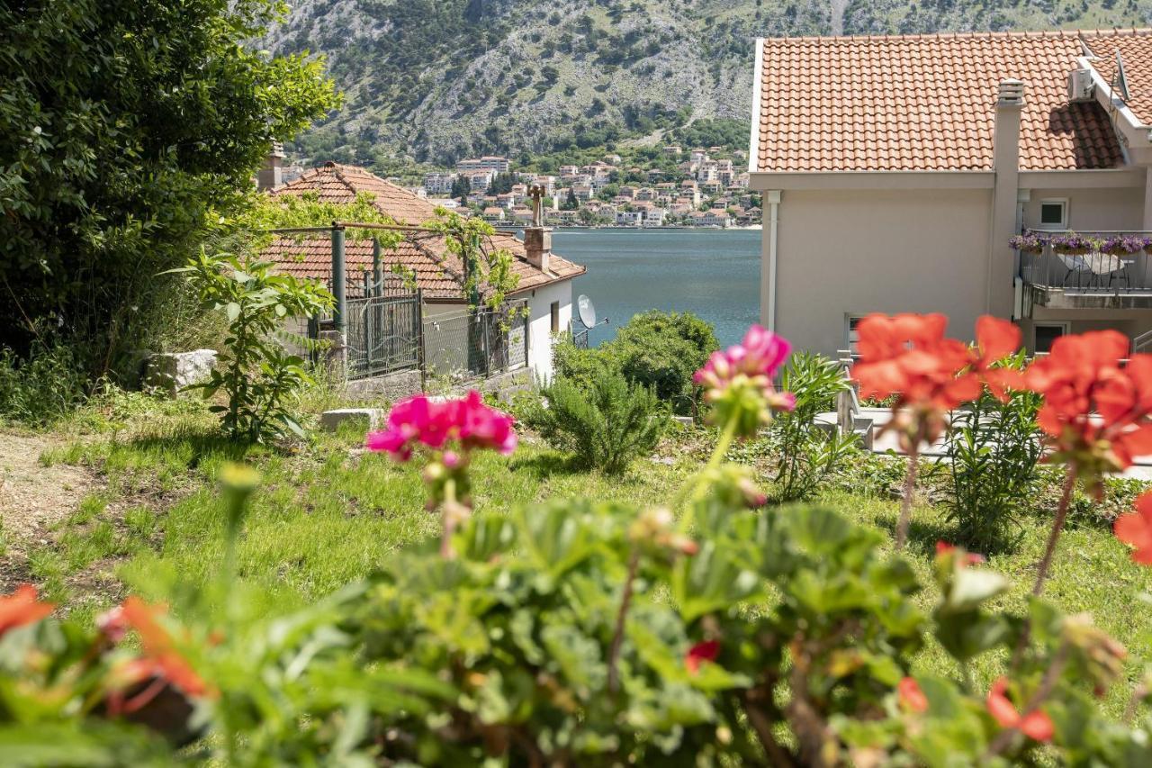 Muo Sea Front Apartments Kotor Dış mekan fotoğraf