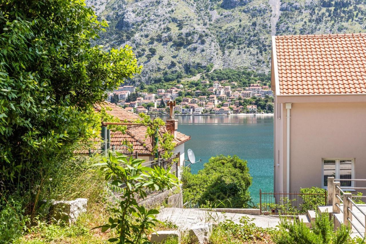 Muo Sea Front Apartments Kotor Dış mekan fotoğraf