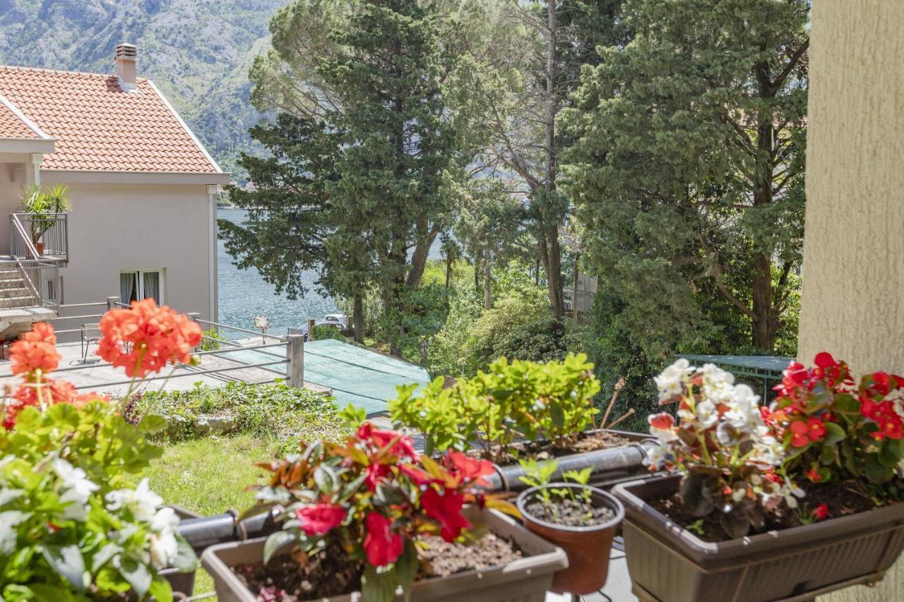 Muo Sea Front Apartments Kotor Dış mekan fotoğraf